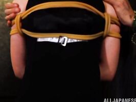 Horny Ria Horisaki gets dominated and pleased