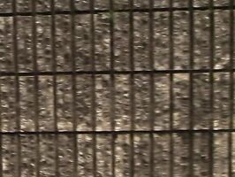 Hot housewife banged by naughty neighbor