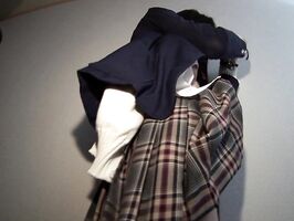 Hitomi Fujiwara Seduces Two Guys in Steamy Threesome Fantasy