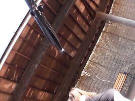 Exquisite Asian darling Ayu Sakurai intense sex