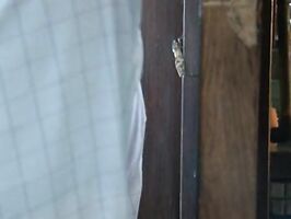 Asian Beauty Aoba Itou Sucks Cock & Fingers Her Wet Pussy