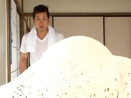 Asako Hoshino Spreads Wide – Curvy Asian Babe Takes Deep Pussy Insertion