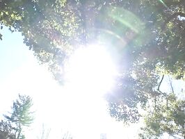 Bends Over Desk – Teacher Fucks Her Tight Ass Hard