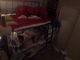 Voluptuous Beauty Goes Wild - Big Tits & Steamy Hostel Fun