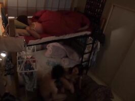 Voluptuous Beauty Goes Wild - Busty College Girl's 18+ Hostel Fantasy Unleashed