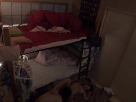 Curvy Busty Beauty Goes Wild in Hostel Fun Time