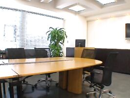 Tia's Naughty Blowjob & Wild Doggy Style Fun - Asian Blond Bombshell