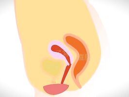 Japanese AV Model Takes Hard Ride from Thick Cock