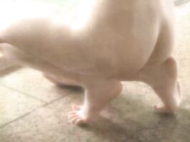 Nagasawa Azusa Loves Tit Fuck – Mind-Blowing Blowjob Scene