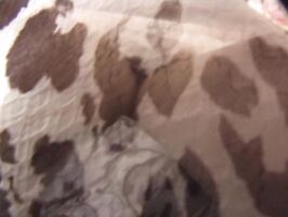 Asian Babe's Steamy Train Compartment Encounter - Wild Ride Unfolds