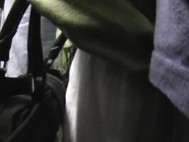 Asian Beauty Harassed on Train – Tits in Steamy Encounter