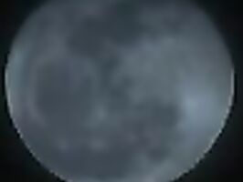 Mature Japanese Babe Loves Oral Pleasure in Steamy 69 Position